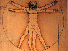 Leonardo Zeichnung der Vitruvianische Mensch
